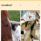catsaddicted.com