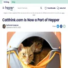 catthink.com