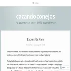 cazandoconejos.com