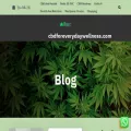 cbdforeverydaywellness.com