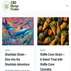 cbdhempfinder.com