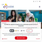 cbsmozaiek.nl