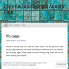 cciaclub.com