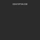 cekatoptan.com