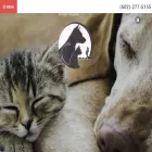 centralphoenixanimalhospital.com