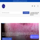 centrevisionlentille.com