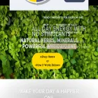 cerebrum-labs.com