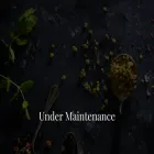 ceremonietea.com.cy