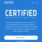 certifiedblockchaininstitute.com