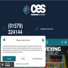 cesurveys.com