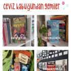 cevizkabugundangemiler.com
