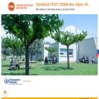 cfdtcpam06.fr