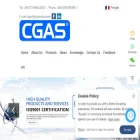 cgasvalve.com