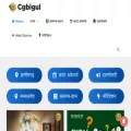 cgbigul.com