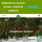 chacarakiwidaserra.com.br