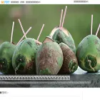 chakagen.blog.ss-blog.jp