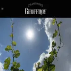 champagne-geoffroy.com