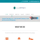 champaksteel.com