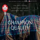 championhorseblankets.com
