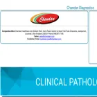 chandanlims.com