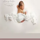 chanykohnphotography.com