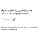 charlestonanimaleyespecialists.com