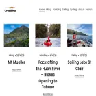 chasingcheetahs.net