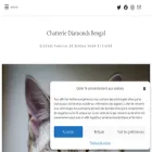 chatterie-diamondsbengal.com