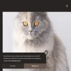 chatterie-exceptionnelle.com