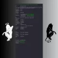 check2ip.com