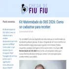 chegadefiufiu.com.br