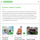 chevalverite.com