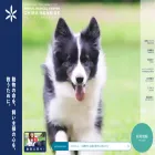 chibaseaside.com
