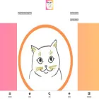 chiemijuni.com