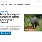 chiensetchats.net