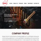 china-heater.com