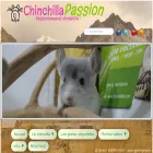 chinchillapassion.com