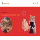 chinchillasale.com
