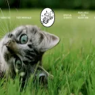 chinohillscatadoptioncenter.com