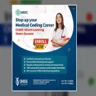 chis-solutions.com