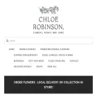 chloerobinsondesigns.com