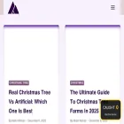 christmasallaccessories.com
