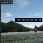 chunk.jp