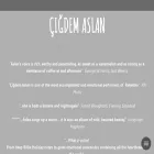 cigdemaslan.com