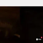 cigman.com