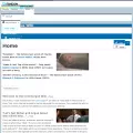 cinemorgue.wikia.com