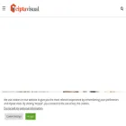 ciptavisual.com