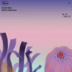 circuitsonora.com