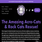 circuscats.com