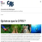 cites.application.developpement-durable.gouv.fr